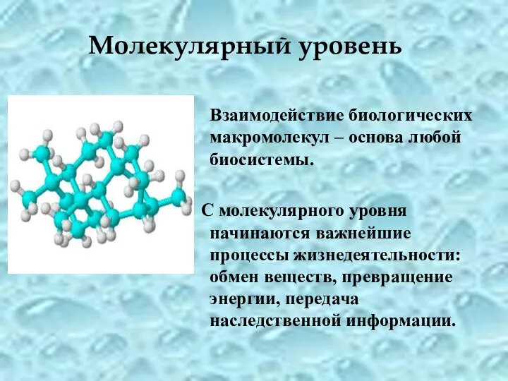 Молекулярный уровень Взаимодействие биологических макромолекул – основа любой биосистемы. С молекулярного