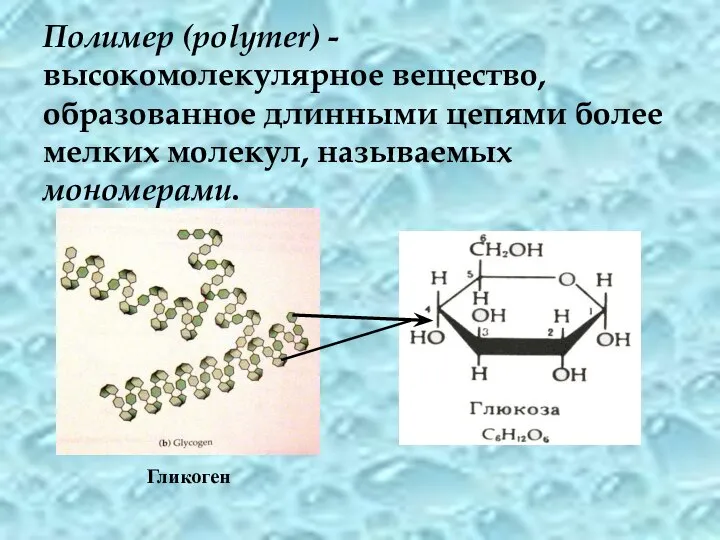 Полимер (polymer) - высокомолекулярное вещество, образованное длинными цепями более мелких молекул, называемых мономерами. Гликоген