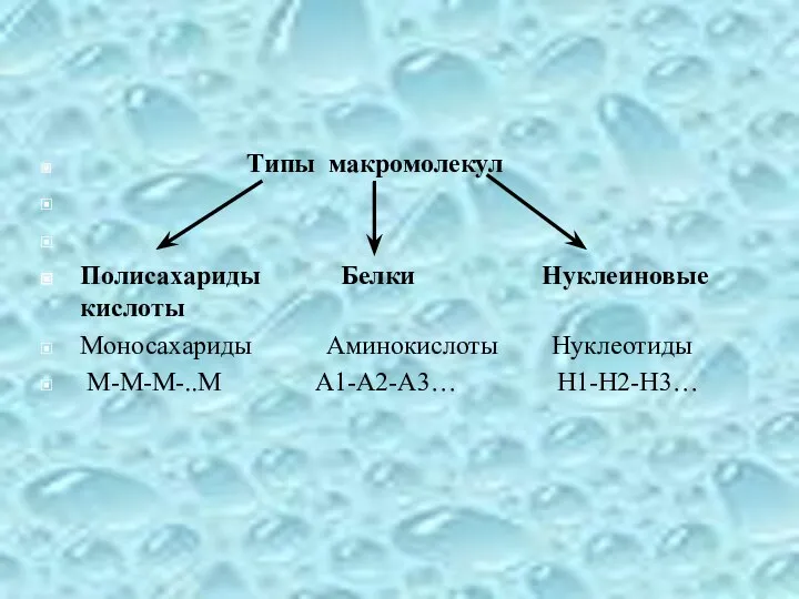 Типы макромолекул Полисахариды Белки Нуклеиновые кислоты Моносахариды Аминокислоты Нуклеотиды М-М-М-..М А1-А2-А3… Н1-Н2-Н3…
