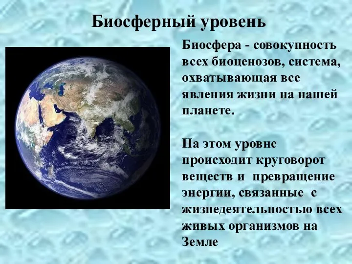 Биосферный уровень Биосфера - совокупность всех биоценозов, система, охватывающая все явления