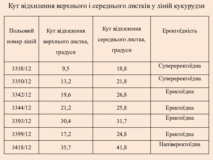 Кут відхилення верхнього і середнього листків у ліній кукурудзи