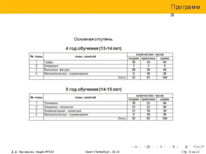 Программа Д.Д. Черкашин, лицей №533 Санкт-Петербург, 2018 Стр. из 13