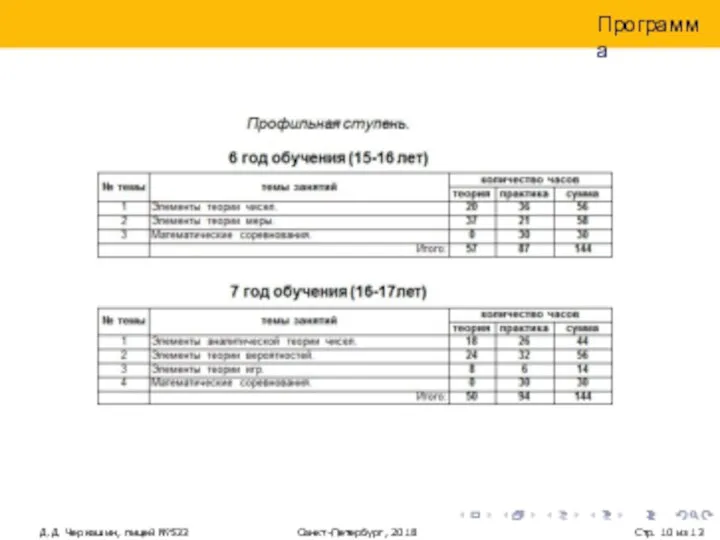 Программа Д.Д. Черкашин, лицей №533 Санкт-Петербург, 2018 Стр. из 13