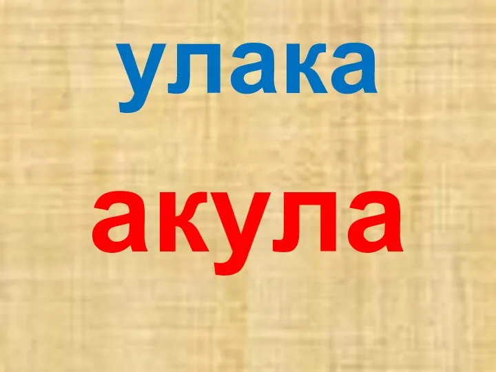 улака акула