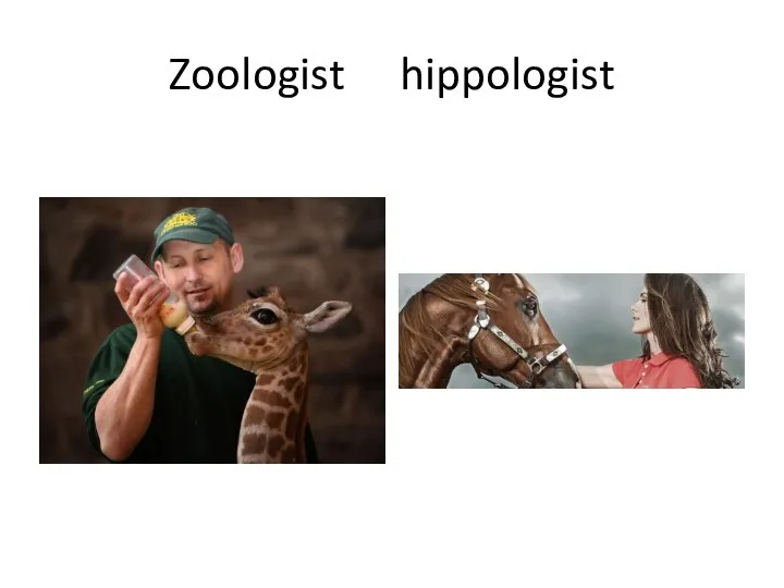 Zoologist hippologist