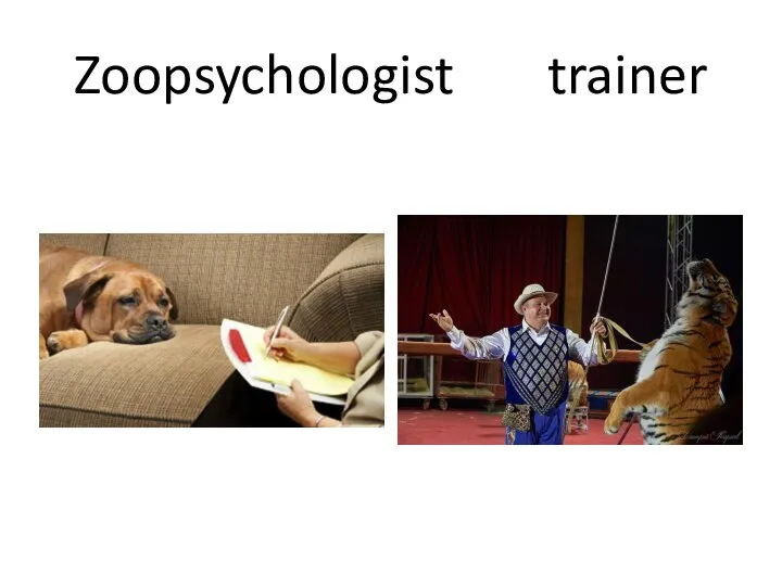 Zoopsychologist trainer