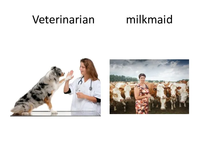 Veterinarian milkmaid