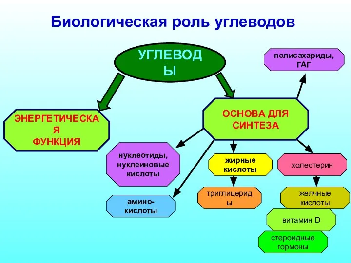 Биологическая роль углеводов УГЛЕВОДЫ ЭНЕРГЕТИЧЕСКАЯ ФУНКЦИЯ ОСНОВА ДЛЯ СИНТЕЗА жирные кислоты