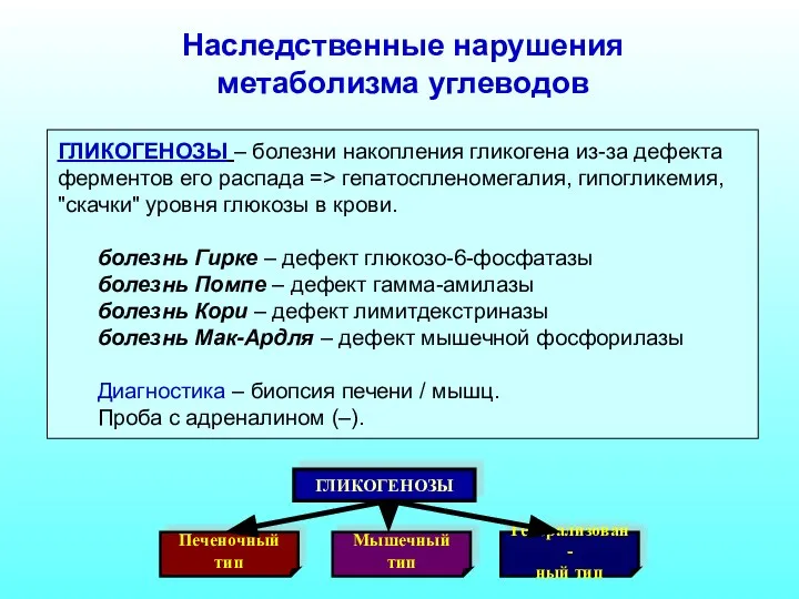 ГЛИКОГЕНОЗЫ – болезни накопления гликогена из-за дефекта ферментов его распада =>