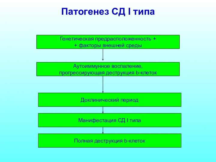 Патогенез СД I типа Генетическая предрасположенность + + факторы внешней среды