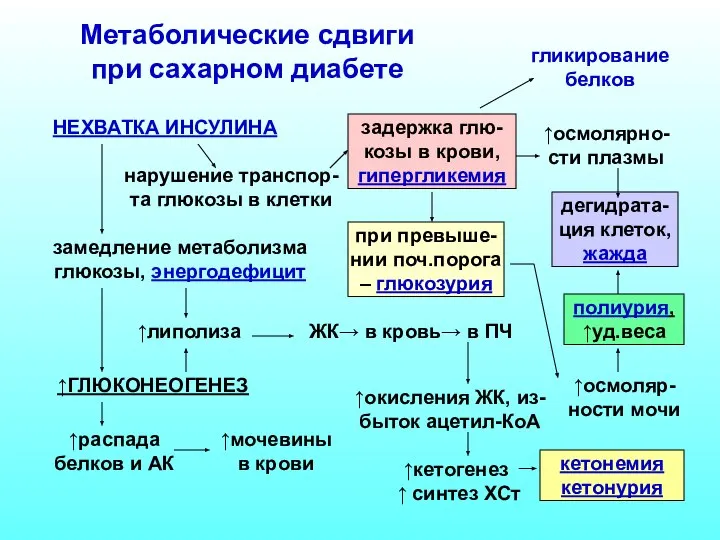 Метаболические сдвиги при сахарном диабете НЕХВАТКА ИНСУЛИНА нарушение транспор-та глюкозы в