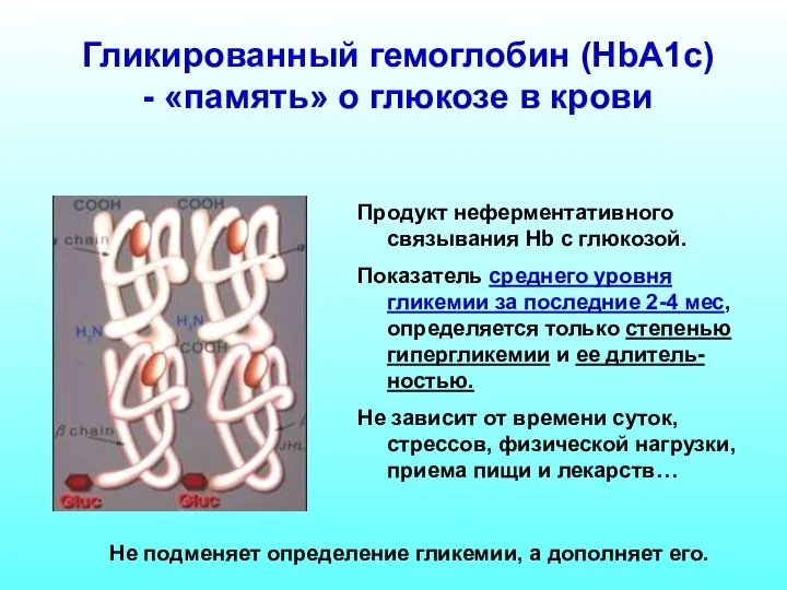 Гликированный гемоглобин (HbA1c) - «память» о глюкозе в крови Продукт неферментативного