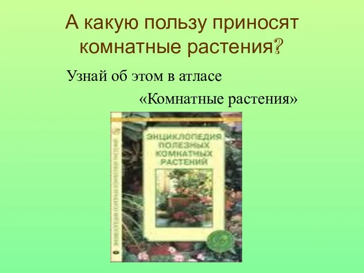 А какую пользу приносят комнатные растения? Узнай об этом в атласе «Комнатные растения»