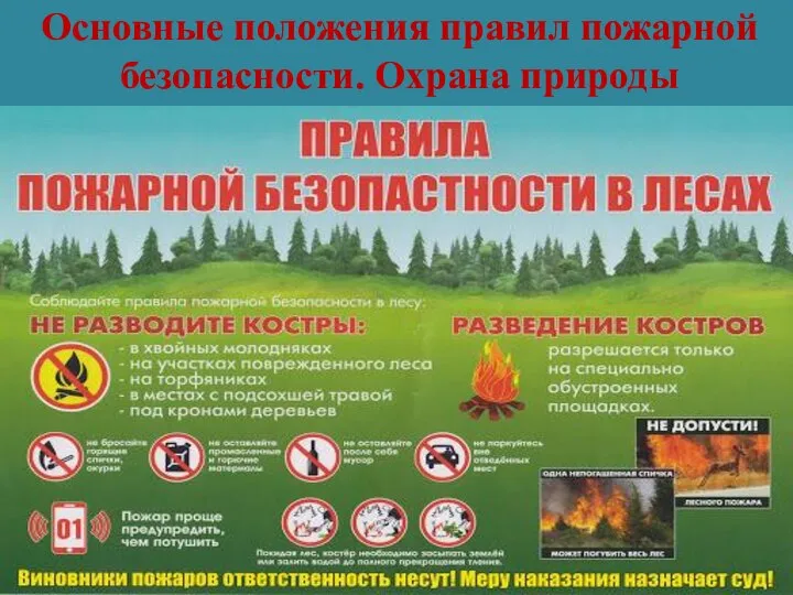 Основные положения правил пожарной безопасности. Охрана природы