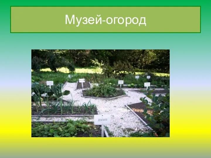 Музей-огород