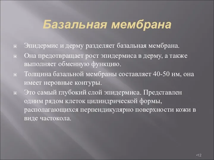 Базальная мембрана Эпидермис и дерму разделяет базальная мембрана. Она предотвращает рост