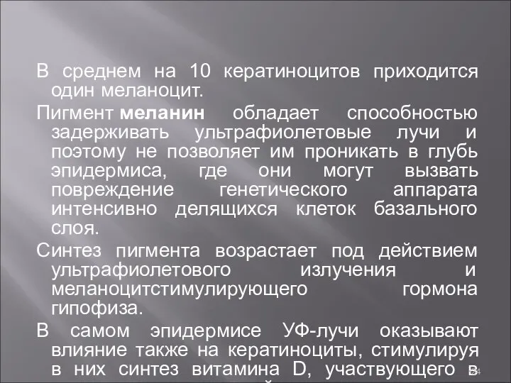 В среднем на 10 кератиноцитов приходится один меланоцит. Пигмент меланин обладает