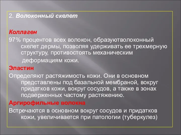 2. Волоконный скелет Коллаген 97% процентов всех волокон, образуютволоконный скелет дермы,