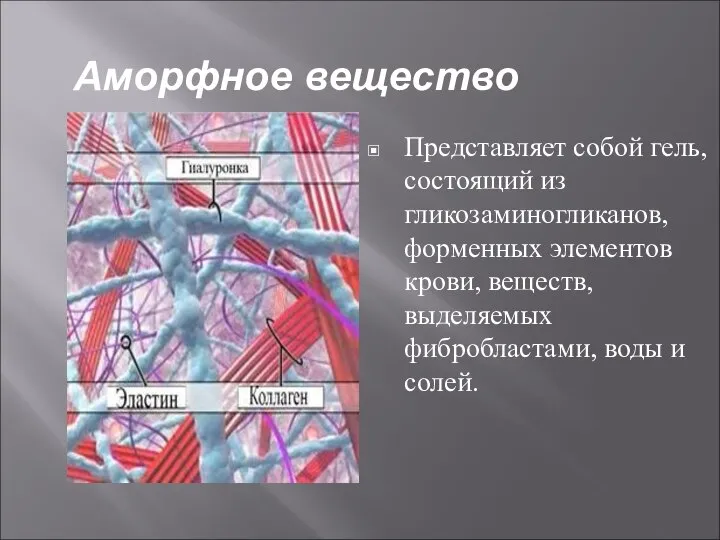 Аморфное вещество Представляет собой гель, состоящий из гликозаминогликанов, форменных элементов крови,