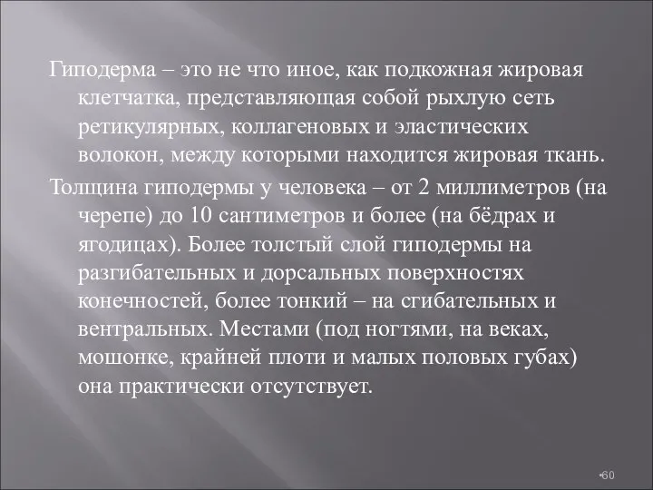 Гиподерма – это не что иное, как подкожная жировая клетчатка, представляющая