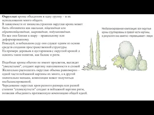 Округлые кроны объединим в одну группу – в их использовании много