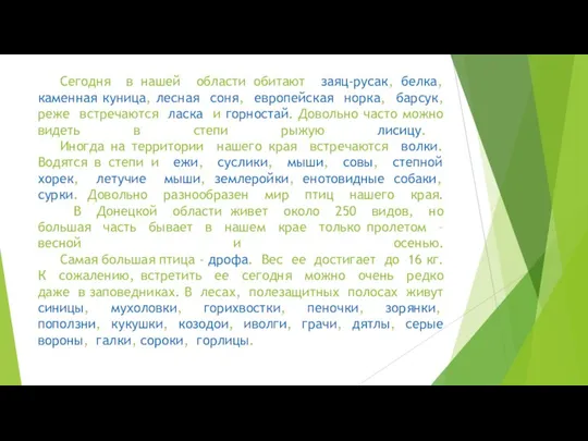 Сегодня в нашей области обитают заяц-русак, белка, каменная куница, лесная соня,