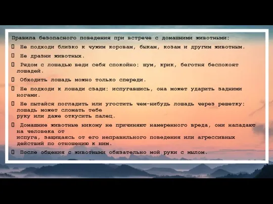 Правила безопасного поведения при встрече с домашними животными: Не подходи близко