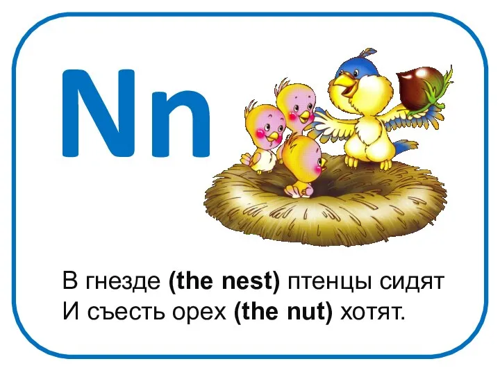 Nn В гнезде (the nest) птенцы сидят И съесть орех (the nut) хотят.