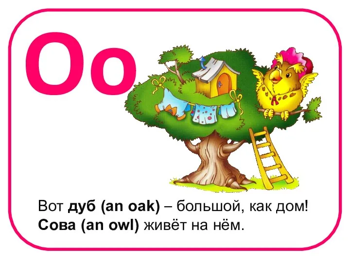 Oo Вот дуб (an oak) – большой, как дом! Сова (an owl) живёт на нём.