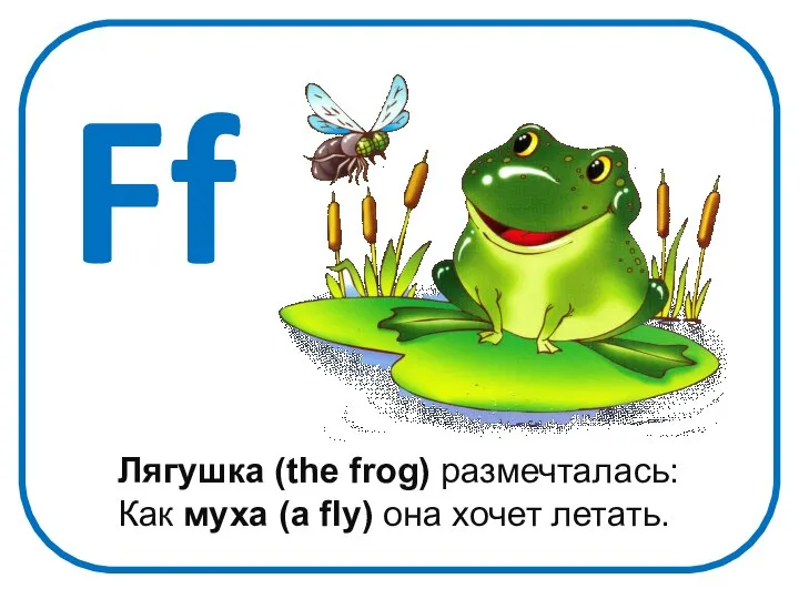 Ff Лягушка (the frog) размечталась: Как муха (a fly) она хочет летать.