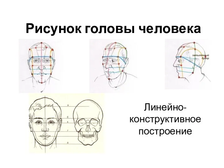 Рисунок головы человека Линейно-конструктивное построение