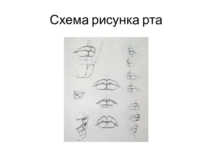 Схема рисунка рта