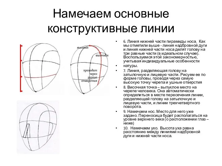 Намечаем основные конструктивные линии 6. Линия нижней части пирамиды носа. Как