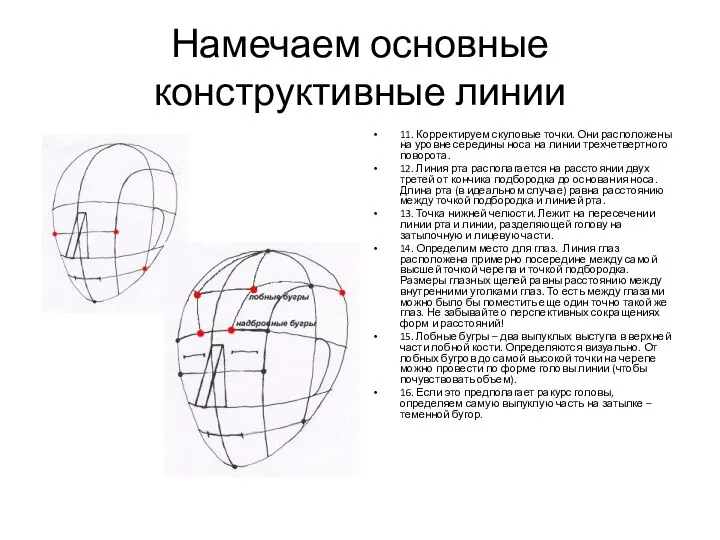 Намечаем основные конструктивные линии 11. Корректируем скуловые точки. Они расположены на