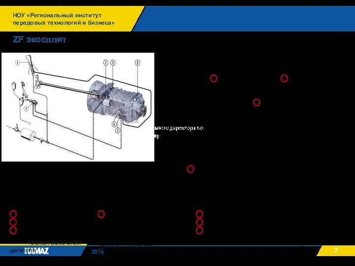 НОУ «Региональный институт передовых технологий и бизнеса» 2015 ZF экосплит