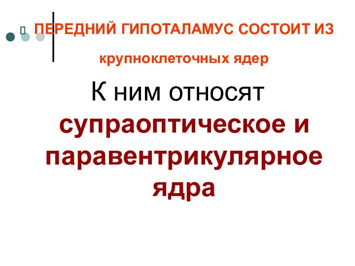 ПЕРЕДНИЙ ГИПОТАЛАМУС СОСТОИТ ИЗ крупноклеточных ядер К ним относят супраоптическое и паравентрикулярное ядра