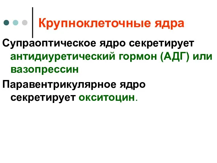 Крупноклеточные ядра Супраоптическое ядро секретирует антидиуретический гормон (АДГ) или вазопрессин Паравентрикулярное ядро секретирует окситоцин.