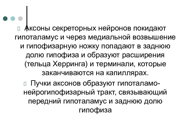 Аксоны секреторных нейронов покидают гипоталамус и через медиальной возвышение и гипофизарную