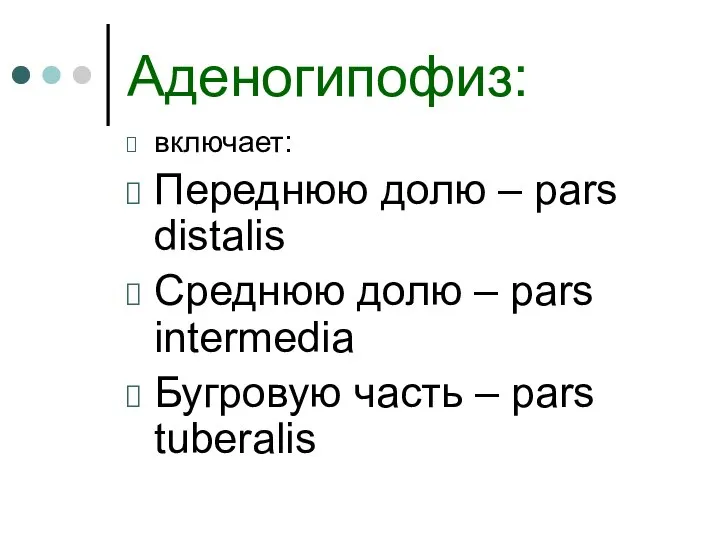 Аденогипофиз: включает: Переднюю долю – pars distalis Среднюю долю – pars