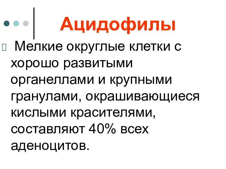 Ацидофилы Мелкие округлые клетки с хорошо развитыми органеллами и крупными гранулами,