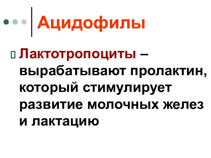 Ацидофилы Лактотропоциты – вырабатывают пролактин, который стимулирует развитие молочных желез и лактацию