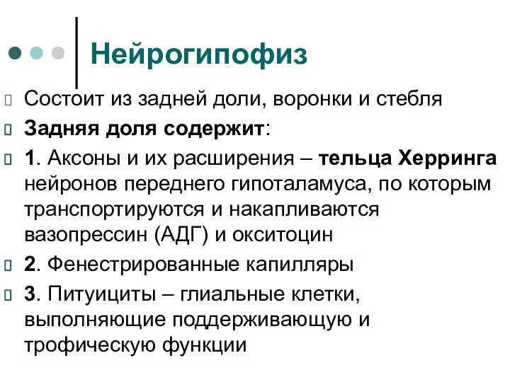 Нейрогипофиз Состоит из задней доли, воронки и стебля Задняя доля содержит: