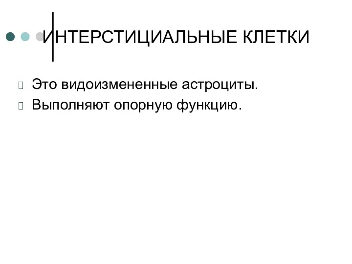 ИНТЕРСТИЦИАЛЬНЫЕ КЛЕТКИ Это видоизмененные астроциты. Выполняют опорную функцию.