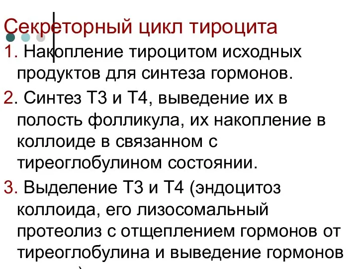 Секреторный цикл тироцита 1. Накопление тироцитом исходных продуктов для синтеза гормонов.