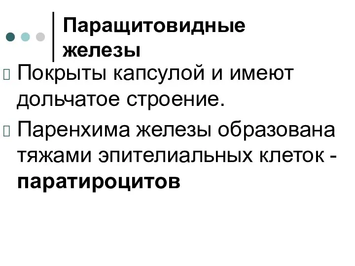 Паращитовидные железы Покрыты капсулой и имеют дольчатое строение. Паренхима железы образована тяжами эпителиальных клеток - паратироцитов