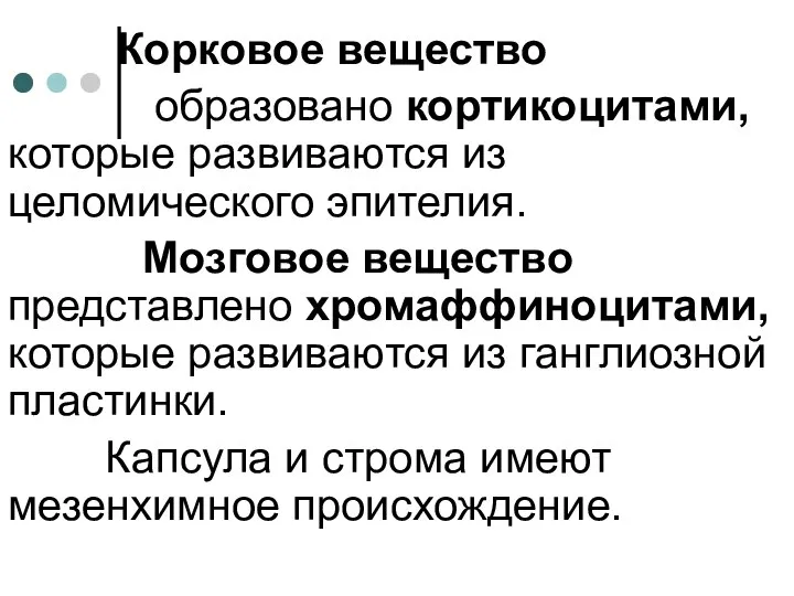 Корковое вещество образовано кортикоцитами, которые развиваются из целомического эпителия. Мозговое вещество