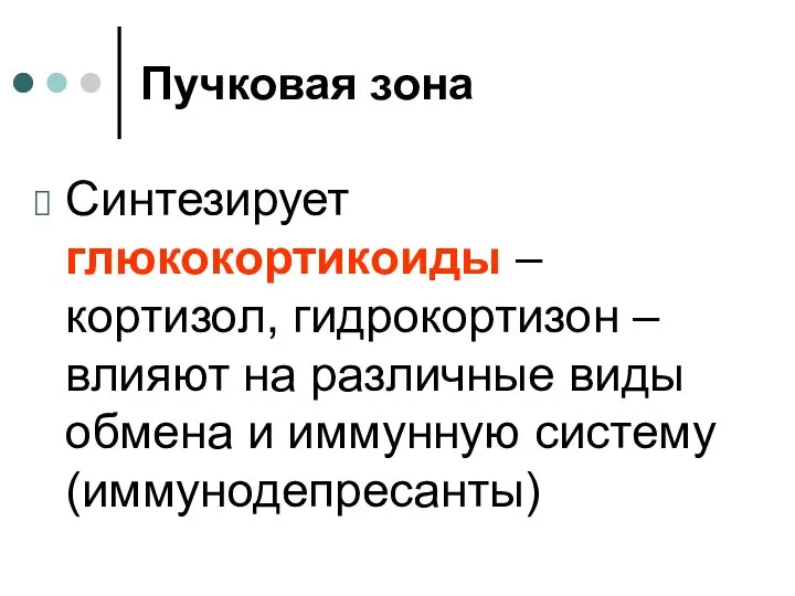 Пучковая зона Синтезирует глюкокортикоиды – кортизол, гидрокортизон – влияют на различные