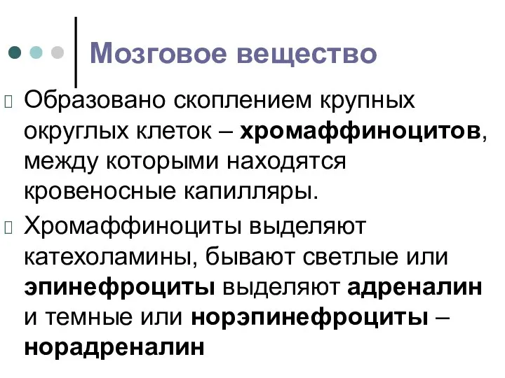 Мозговое вещество Образовано скоплением крупных округлых клеток – хромаффиноцитов, между которыми