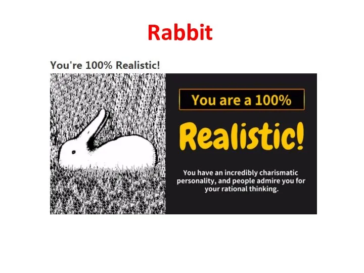 Rabbit