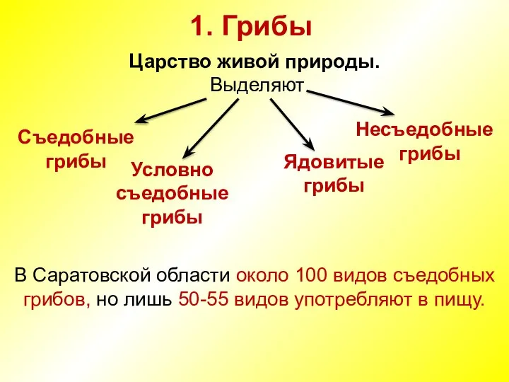 1. Грибы Царство живой природы. Выделяют В Саратовской области около 100